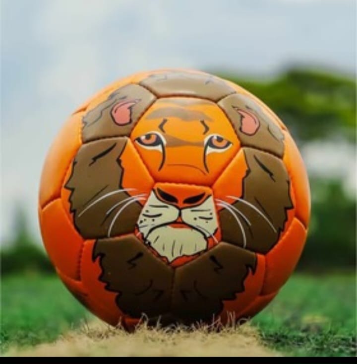 Animal Print Football - Size 1 